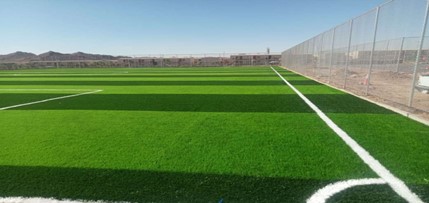 Footbal Vilage Neom 203